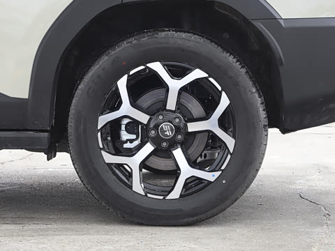 2025�� 226km ��Խ