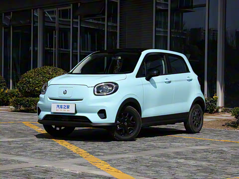 2025�� 310������