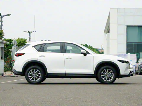 2025�� 2.0L �Զ�����������