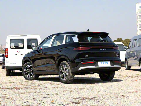 2025�� �ڶ��� DM-i 115KM��Խ��