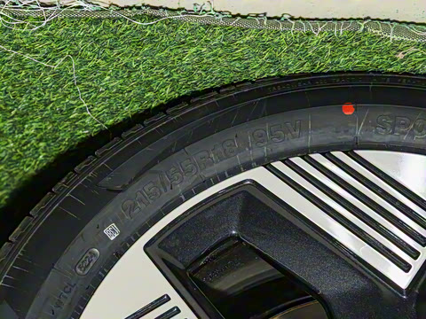 2025�� 565km ������