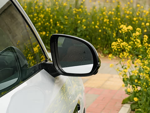 2025�� DM 200KM���������״��콢��