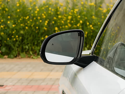 2025�� DM 200KM���������״��콢��