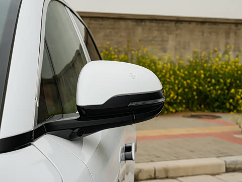 2025�� DM 200KM���������״��콢��