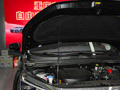 2025�� ��Խ�� 1.6TD DCT���ͥ���ְ� 7��