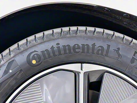 2025�� 527km ɭ�ֳ�������