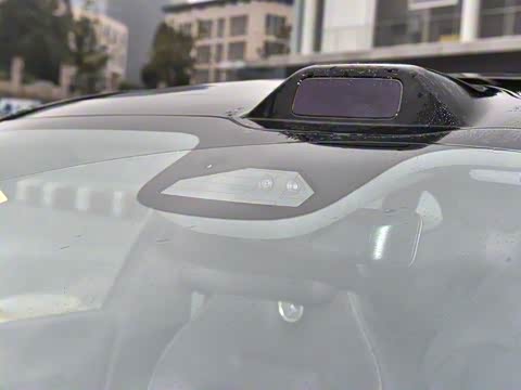 2024�� Max���������