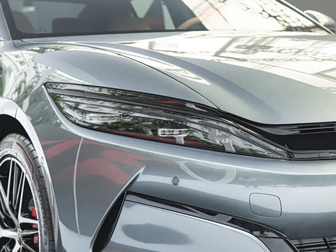 2025�� DM-p ���������״��콢��