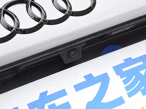 2025�� 200���������� 45 TFSI quattro ��ѡ������