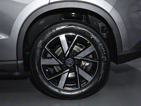 2024�� ��ҫ�� DM-i 110KM��Խ��