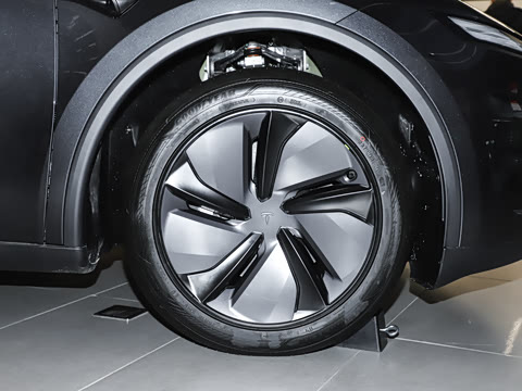 2025�� �������� �׷���