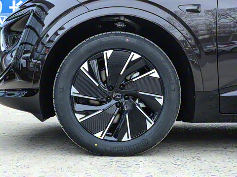 2024�� Pro+�����