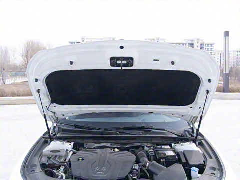 2025�� 2.0T �Զ������