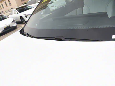 2025�� 725 �������� Max