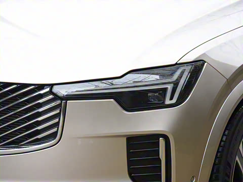 2025�� �Ŀ� T8 ��������� 7��