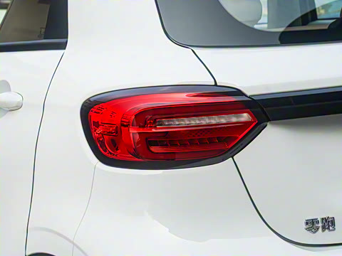 2025�� 310������