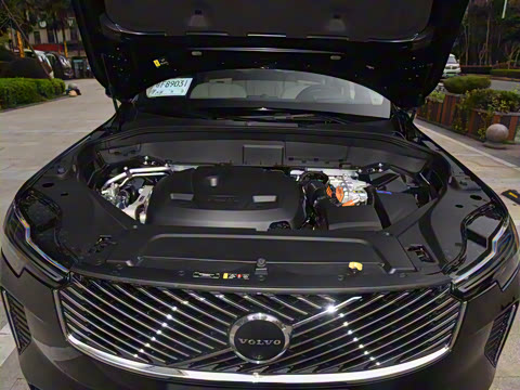 2025�� �Ŀ� T8 ��������� 7��