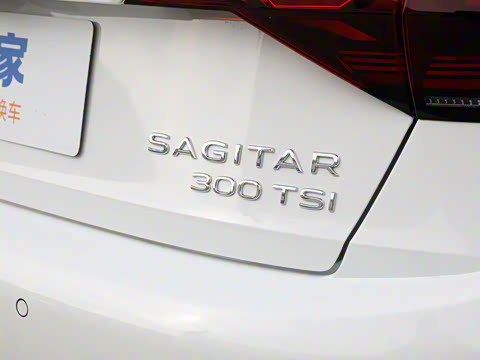 2025�� 300TSI DSG��Խ��