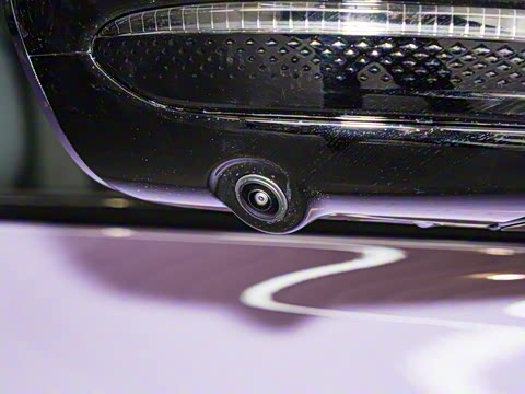 2025�� 730 Max������