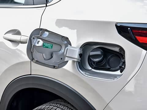 2025�� 2.0L �Զ���������Pro