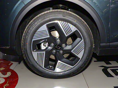 2025�� 565km ������