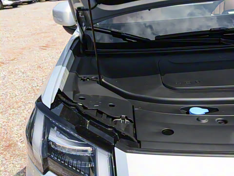 2025�� ���������� 650 ������