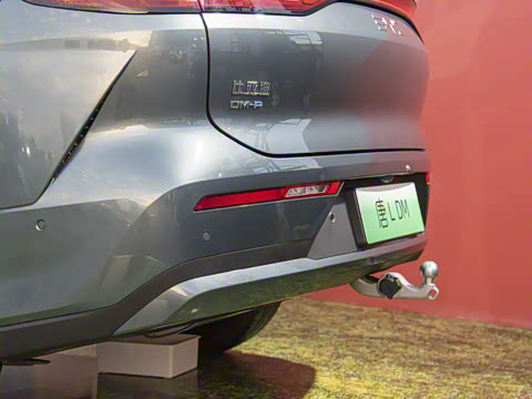 2025�� DM 175KM���˻���Ұ�