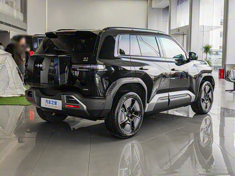 2025�� 501KM ����Max��