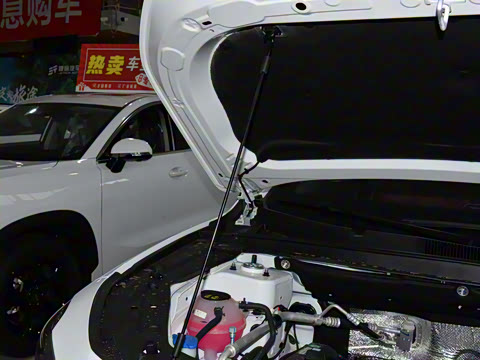 2025�� �ھ��� 1.5T �ֶ��ھ� 5��