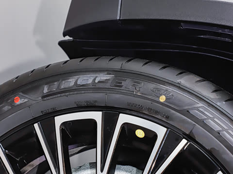 2025�� 300T ������Խ��