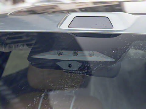 2025�� DM-p ���������״��콢��