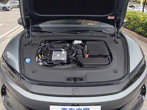 2025�� DM-p ���������״��콢��