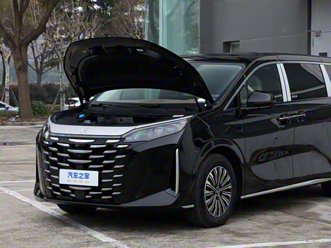 2025�� DM-i 1.5T 100km ��Խ��