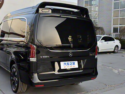 2025�� 2.0T V�������ֵ������