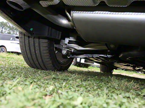 2026�� ���ʽ�춯 �������������ź�����