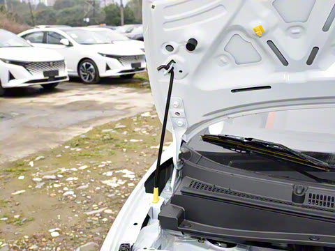 2024�� 301km �ȷ��