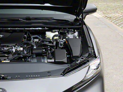 2025�� ˫�� 2.0HXS ��԰�