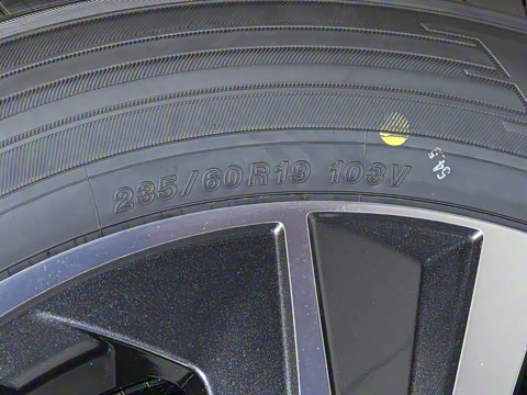 2025�� 300 ����������