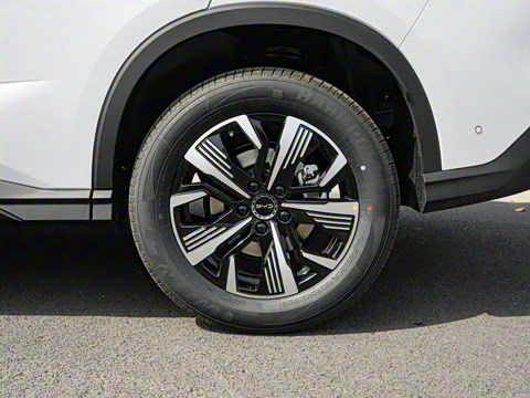 2025�� DM-i �Ǽݰ� 75KM������