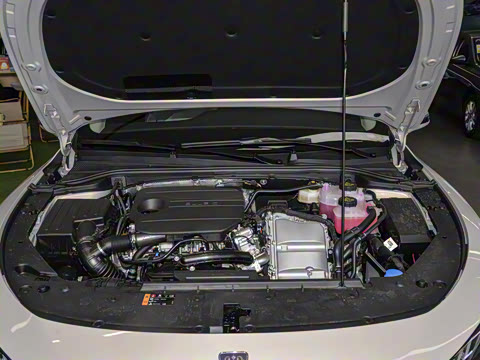 2025�� DMH 125km ����ھ���