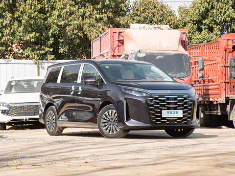 2025�� DM-i 1.5T 100km ��Խ��