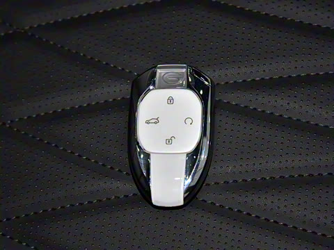 2025�� �캽ϵ�� 2.0TGDI ���������� 5��