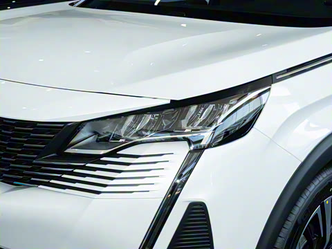 2025�� ������