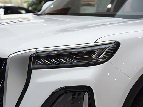 2025�� 2.0T ��������Pro��