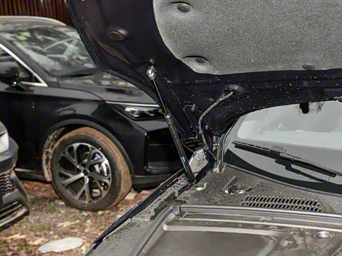 2025�� �Ǽݰ� DM-i 115KM �����