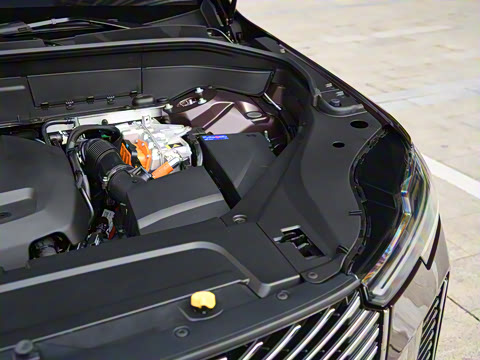 2025�� �Ŀ� T8 ��������� 7��