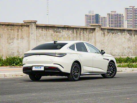 2025�� �Ǽݰ� DM-i 1.5L 125km �����