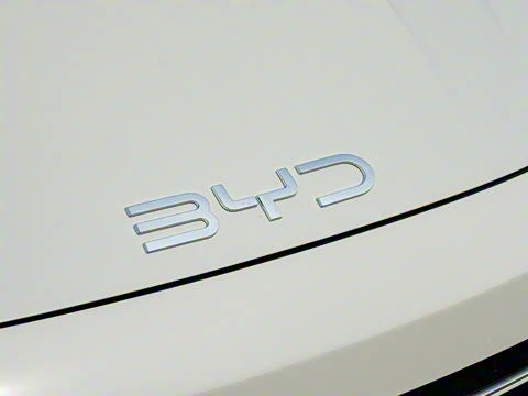 2025�� �Ǽݰ� DM-i 1.5L 125km �����