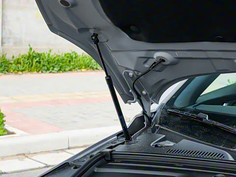 2025�� �Ǽݰ� DM-i 115KM �콢��