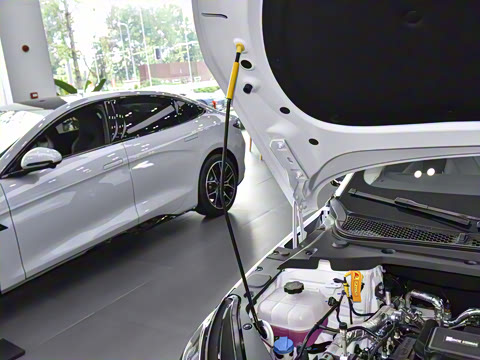 2025�� DM-i 80KM�����